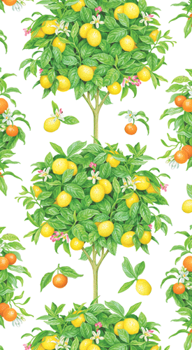 Citrus Topiary Paper Cocktail Napkins