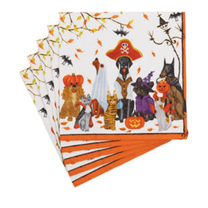 Halloween Pets Recycled Napkin Luncheon