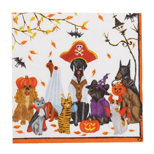 Halloween Pets Recycled Napkin Cocktail