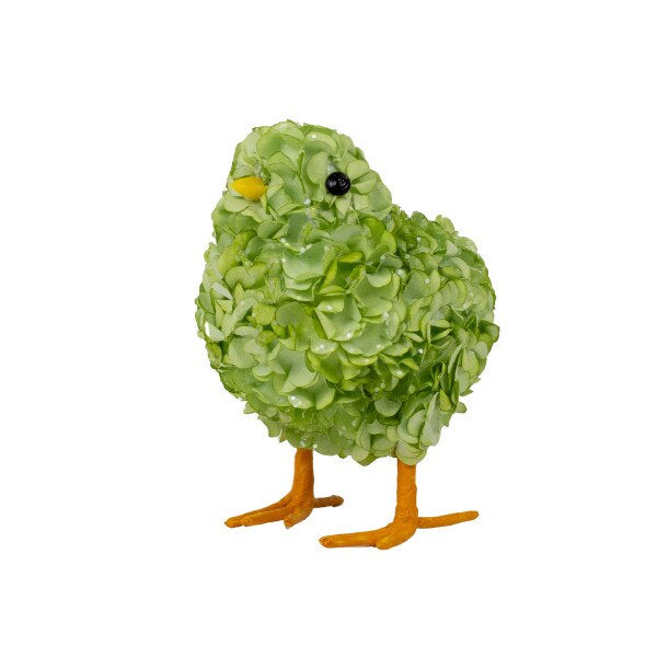 Hydrangea Chick Green   3x4x2.5