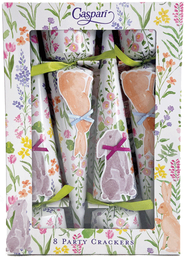 Bunny Field Party Cone Cracker