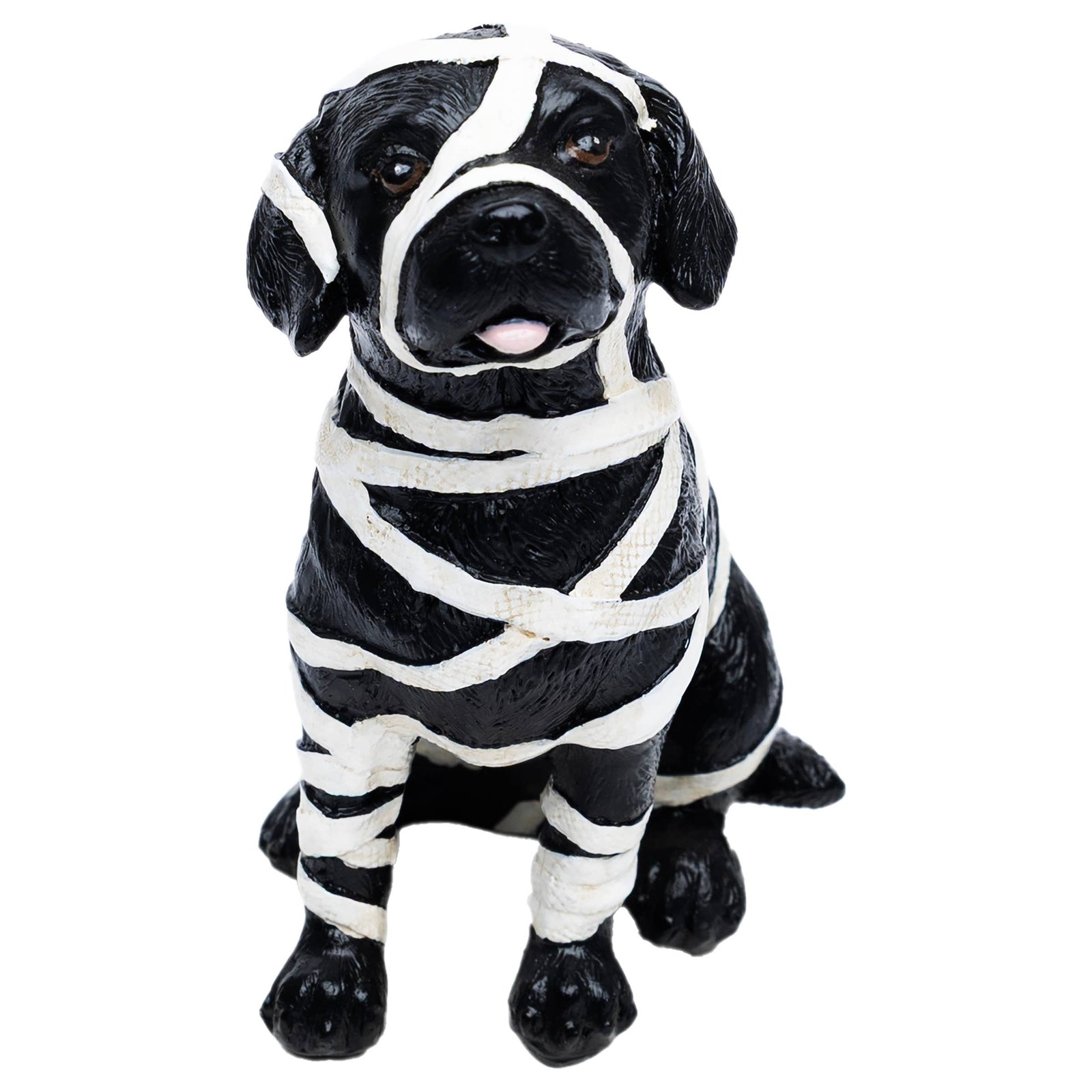 Mummy Dog Fall Autumn