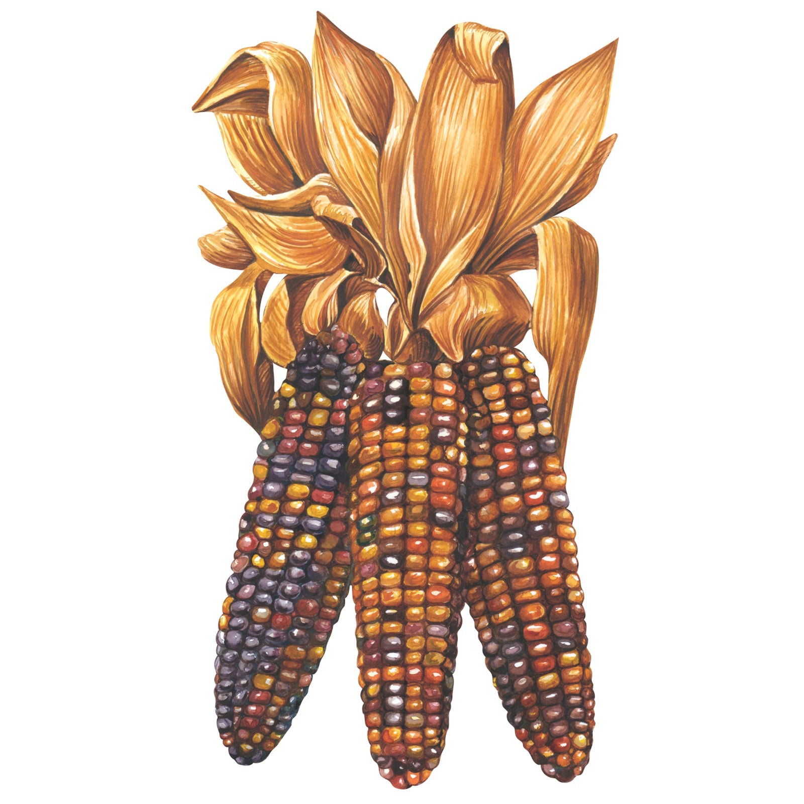 Maize Table Accent